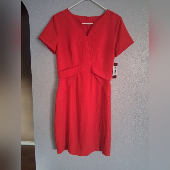 Focus by Shani Womens Poppy Modele Dress Size 6 NWT - Picture 3 of 10